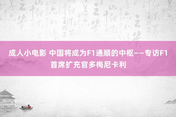 成人小电影 中国将成为F1通顺的中枢——专访F1首席扩充官多梅尼卡利
