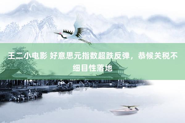 王二小电影 好意思元指数超跌反弹，恭候关税不细目性落地