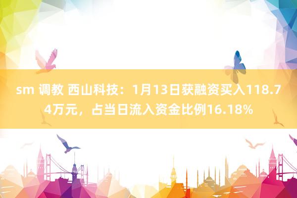 sm 调教 西山科技：1月13日获融资买入118.74万元，占当日流入资金比例16.18%