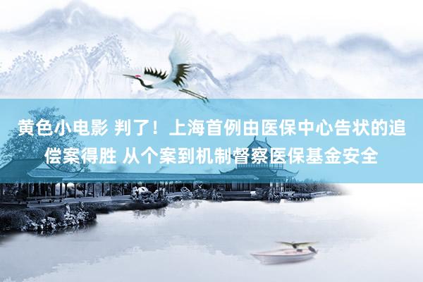 黄色小电影 判了！上海首例由医保中心告状的追偿案得胜 从个案到机制督察医保基金安全
