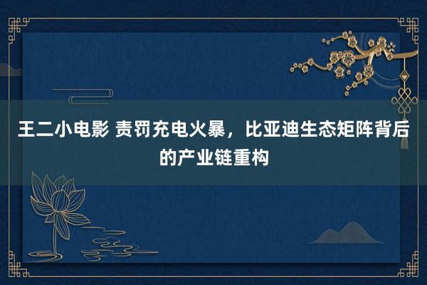 王二小电影 责罚充电火暴，比亚迪生态矩阵背后的产业链重构