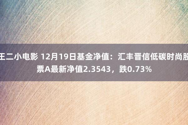 王二小电影 12月19日基金净值：汇丰晋信低碳时尚股票A最新净值2.3543，跌0.73%