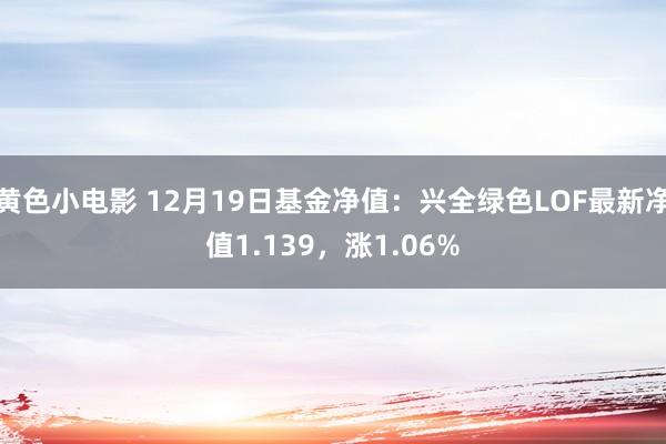 黄色小电影 12月19日基金净值：兴全绿色LOF最新净值1.139，涨1.06%