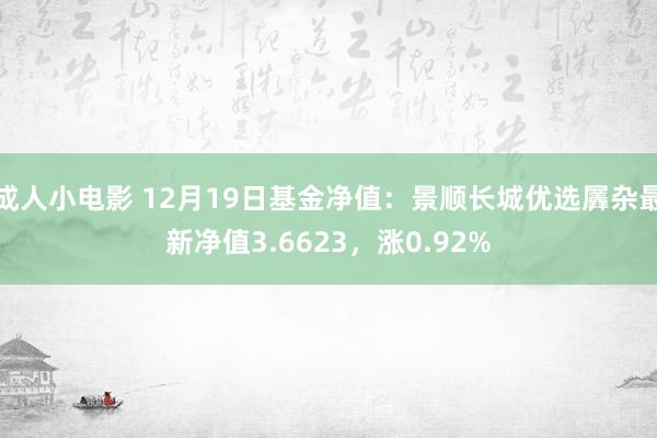 成人小电影 12月19日基金净值：景顺长城优选羼杂最新净值3.6623，涨0.92%