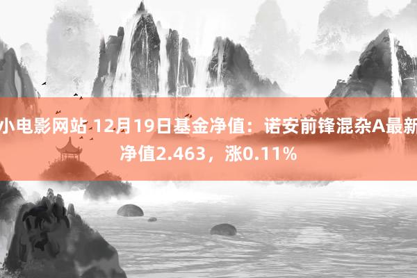 小电影网站 12月19日基金净值：诺安前锋混杂A最新净值2.463，涨0.11%