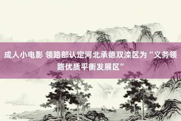 成人小电影 领路部认定河北承德双滦区为“义务领路优质平衡发展区”