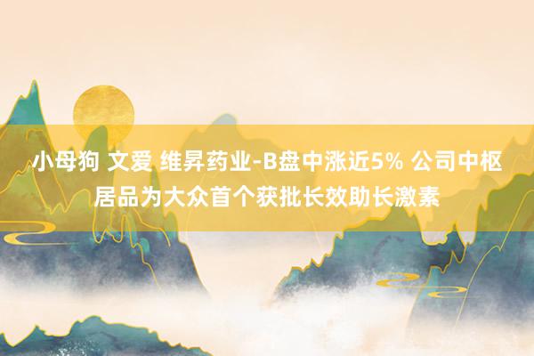 小母狗 文爱 维昇药业-B盘中涨近5% 公司中枢居品为大众首个获批长效助长激素