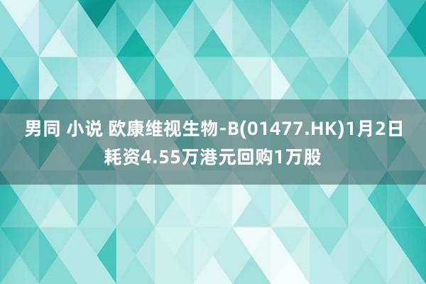 男同 小说 欧康维视生物-B(01477.HK)1月2日耗资4.55万港元回购1万股