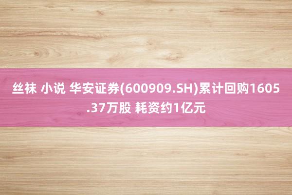 丝袜 小说 华安证券(600909.SH)累计回购1605.37万股 耗资约1亿元