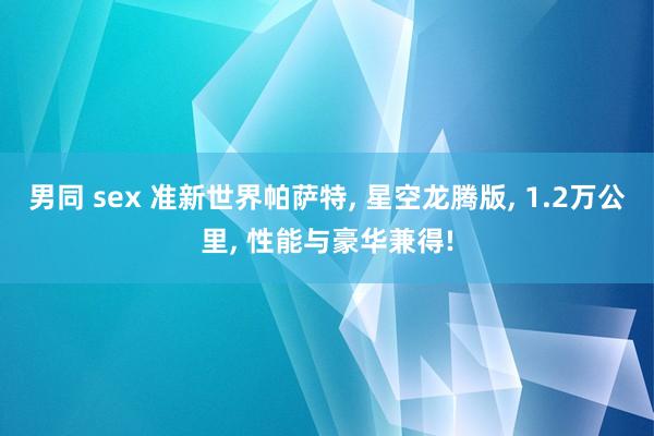 男同 sex 准新世界帕萨特， 星空龙腾版， 1.2万公里， 性能与豪华兼得!