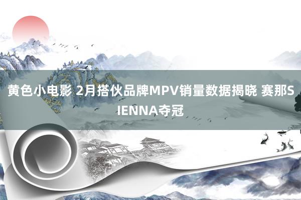 黄色小电影 2月搭伙品牌MPV销量数据揭晓 赛那SIENNA夺冠