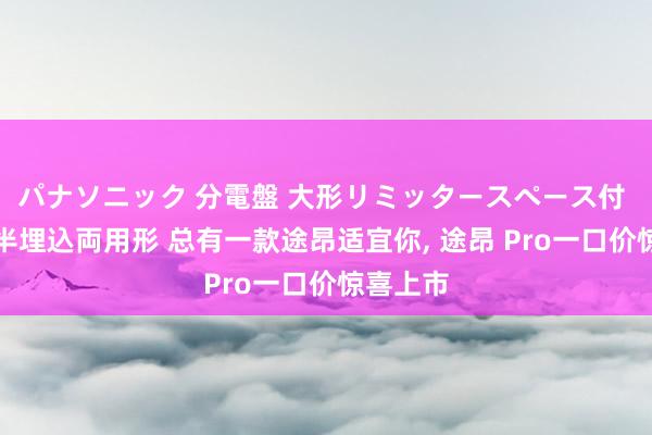 パナソニック 分電盤 大形リミッタースペース付 露出・半埋込両用形 总有一款途昂适宜你， 途昂 Pro一口价惊喜上市