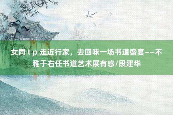 女同 t p 走近行家，去回味一场书道盛宴——不雅于右任书道艺术展有感/段建华