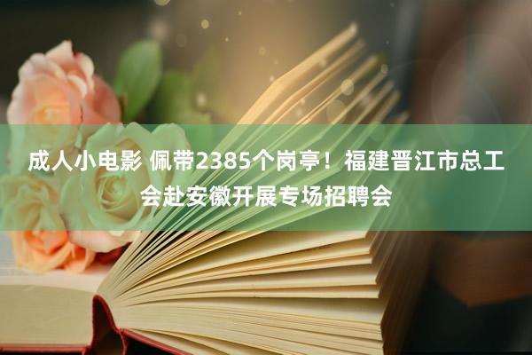 成人小电影 佩带2385个岗亭！福建晋江市总工会赴安徽开展专场招聘会