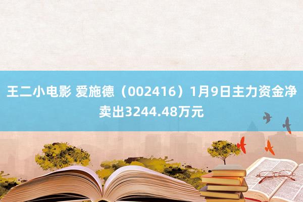 王二小电影 爱施德（002416）1月9日主力资金净卖出3244.48万元