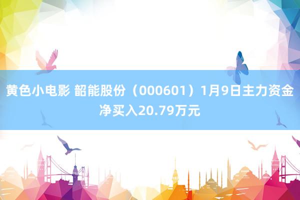 黄色小电影 韶能股份（000601）1月9日主力资金净买入20.79万元