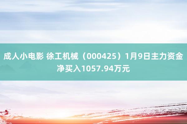 成人小电影 徐工机械（000425）1月9日主力资金净买入1057.94万元