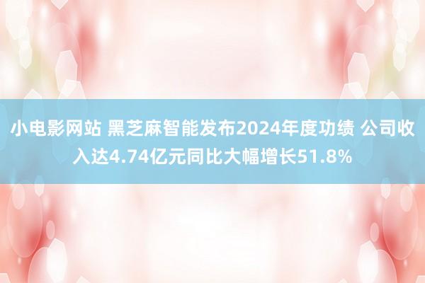 小电影网站 黑芝麻智能发布2024年度功绩 公司收入达4.74亿元同比大幅增长51.8%