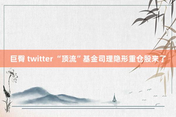 巨臀 twitter “顶流”基金司理隐形重仓股来了