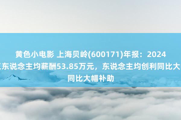 黄色小电影 上海贝岭(600171)年报：2024年职工东说念主均薪酬53.85万元，东说念主均创利同比大幅补助