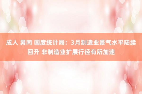 成人 男同 国度统计局：3月制造业景气水平陆续回升 非制造业扩展行径有所加速