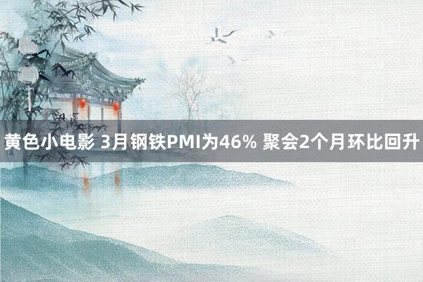 黄色小电影 3月钢铁PMI为46% 聚会2个月环比回升