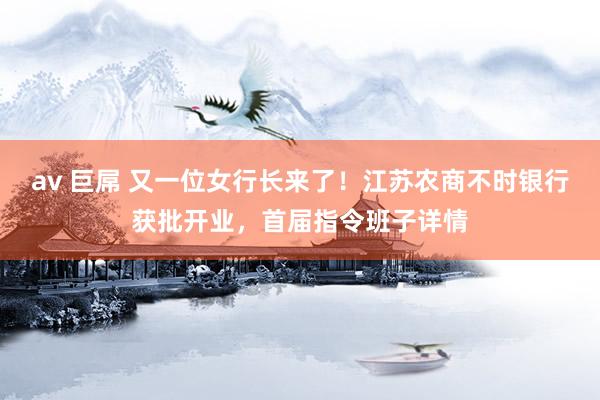 av 巨屌 又一位女行长来了！江苏农商不时银行获批开业，首届指令班子详情