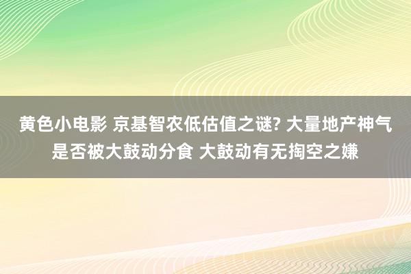黄色小电影 京基智农低估值之谜? 大量地产神气是否被大鼓动分食 大鼓动有无掏空之嫌