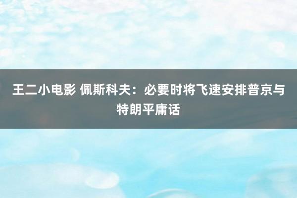 王二小电影 佩斯科夫：必要时将飞速安排普京与特朗平庸话