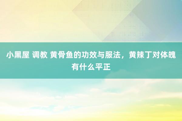 小黑屋 调教 黄骨鱼的功效与服法，黄辣丁对体魄有什么平正