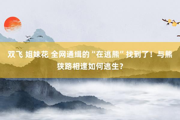 双飞 姐妹花 全网通缉的“在逃熊”找到了！与熊狭路相逢如何逃生？