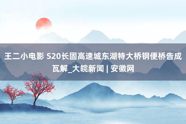 王二小电影 ﻿S20长固高速城东湖特大桥钢便桥告成瓦解_大皖新闻 | 安徽网