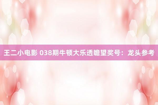 王二小电影 038期牛顿大乐透瞻望奖号：龙头参考