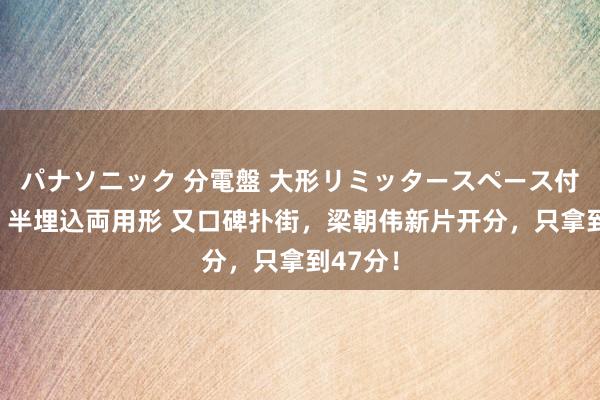 パナソニック 分電盤 大形リミッタースペース付 露出・半埋込両用形 又口碑扑街，梁朝伟新片开分，只拿到47分！