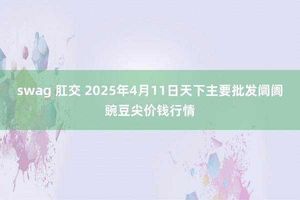 swag 肛交 2025年4月11日天下主要批发阛阓豌豆尖价钱行情