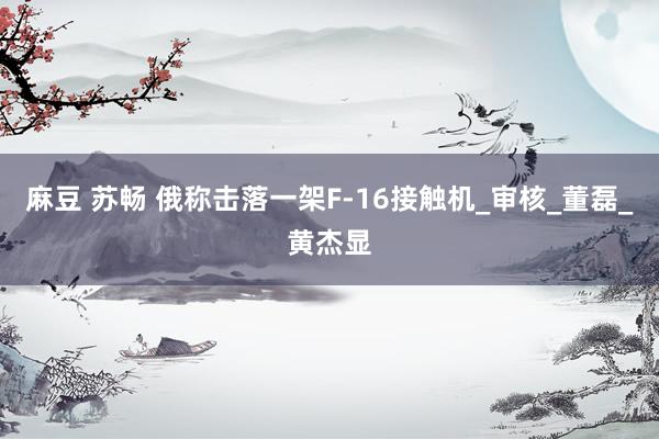 麻豆 苏畅 俄称击落一架F-16接触机_审核_董磊_黄杰显