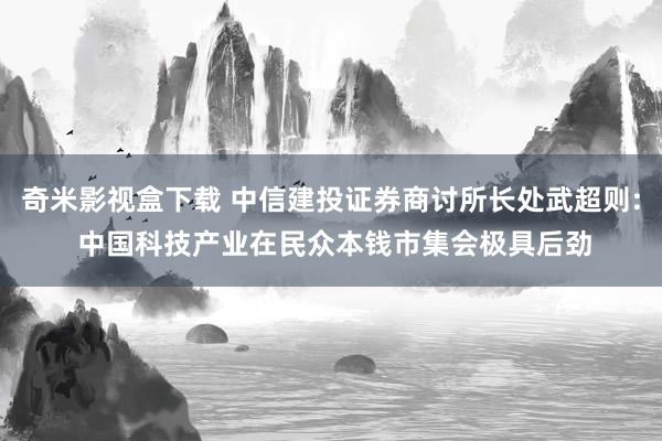 奇米影视盒下载 中信建投证券商讨所长处武超则: 中国科技产业在民众本钱市集会极具后劲