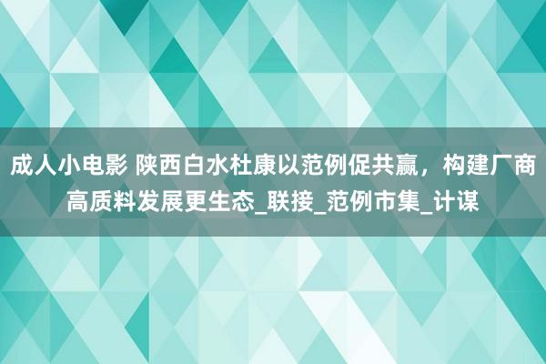 成人小电影 陕西白水杜康以范例促共赢，构建厂商高质料发展更生态_联接_范例市集_计谋