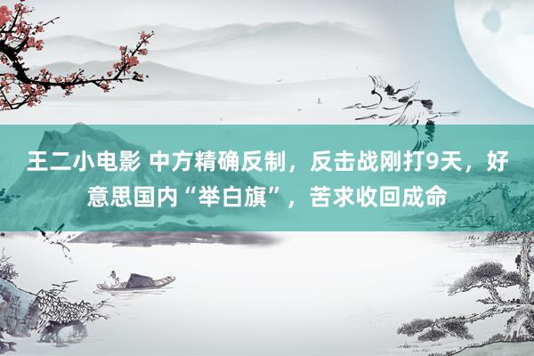 王二小电影 中方精确反制，反击战刚打9天，好意思国内“举白旗”，苦求收回成命