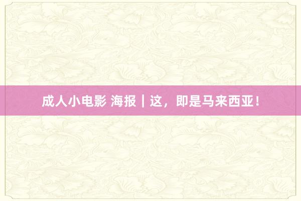 成人小电影 海报｜这，即是马来西亚！