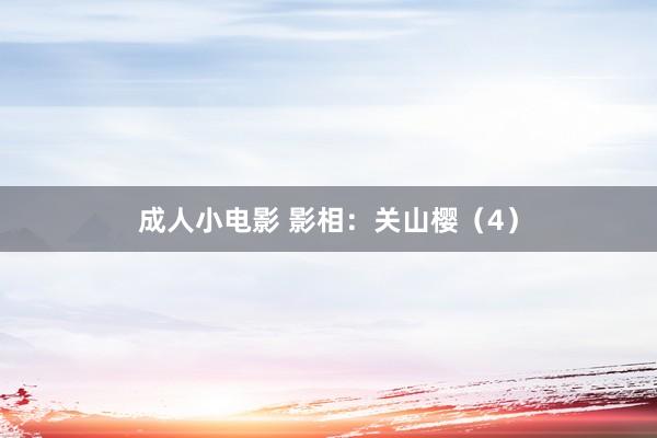 成人小电影 影相：关山樱（4）