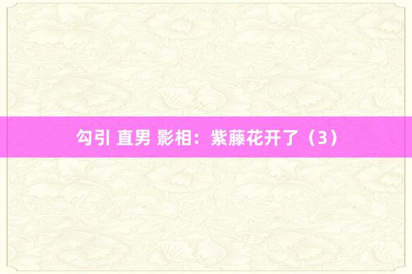 勾引 直男 影相：紫藤花开了（3）