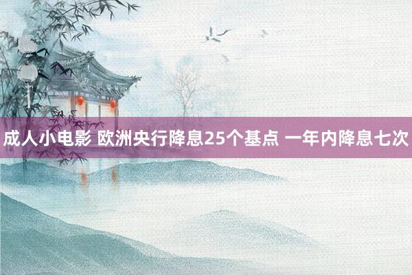 成人小电影 欧洲央行降息25个基点 一年内降息七次