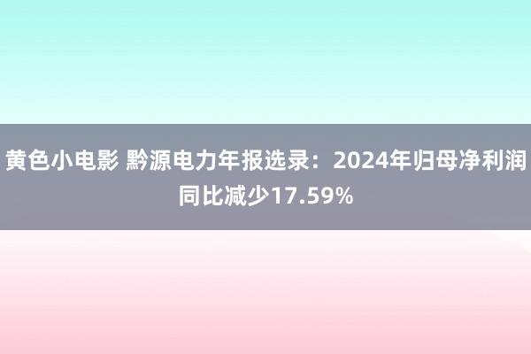 黄色小电影 黔源电力年报选录：2024年归母净利润同比减少17.59%