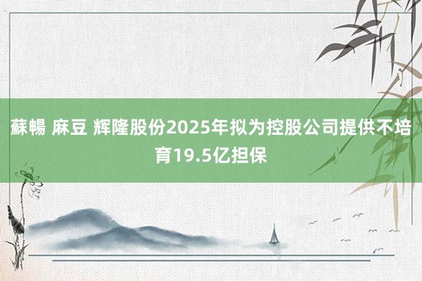 蘇暢 麻豆 辉隆股份2025年拟为控股公司提供不培育19.5亿担保