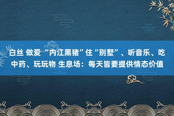 白丝 做爱 “内江黑猪”住“别墅”、听音乐、吃中药、玩玩物 生息场：每天皆要提供情态价值