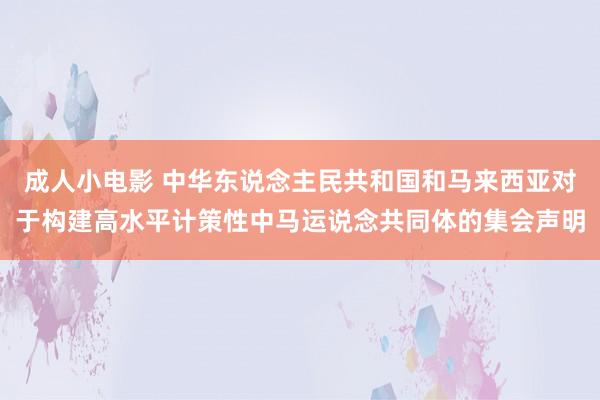 成人小电影 中华东说念主民共和国和马来西亚对于构建高水平计策性中马运说念共同体的集会声明