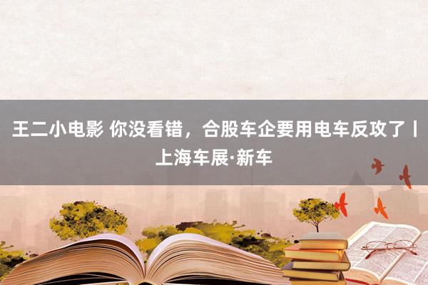 王二小电影 你没看错，合股车企要用电车反攻了丨上海车展·新车