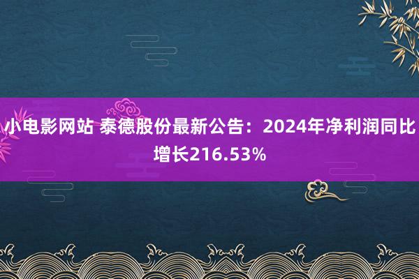 小电影网站 泰德股份最新公告：2024年净利润同比增长216.53%