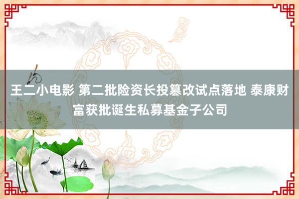 王二小电影 第二批险资长投篡改试点落地 泰康财富获批诞生私募基金子公司